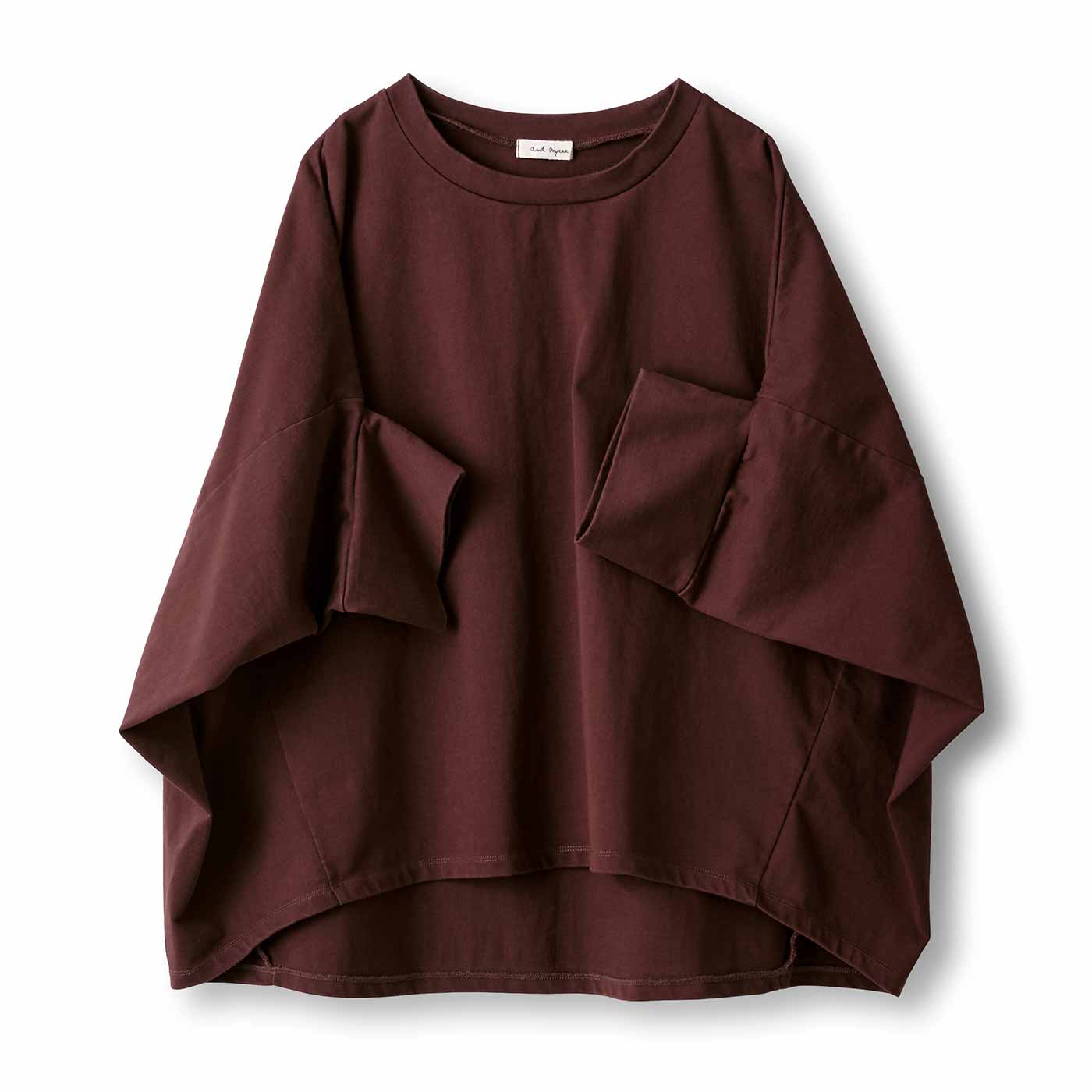 and myera|風変わりなTトップス〈茶〉
